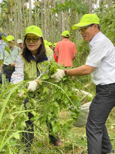 花蓮林管處長楊瑞芬(右)與林務局副局長廖一光合作移除小花 蔓澤蘭